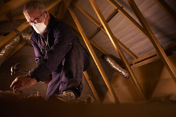 Best Energy Efficiency Insulation in New London, MN